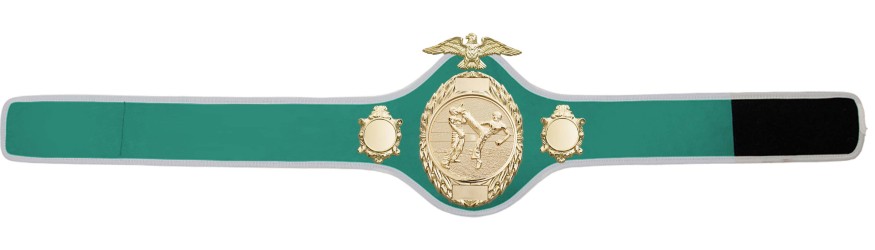 KICKBOXING CHAMPIONSHIP BELT-PRO288/G/KBOG - 10 COLOURS KICKBOXING CHAMPIONSHIP BELT-PRO288/G/KBOG - 10 COLOURS